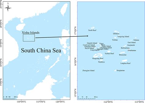 西沙群島有哪些魚?探討海洋生物多樣性與生態保護